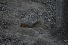 DSC_1851.jpg