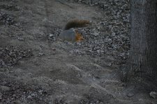 DSC_1852.jpg