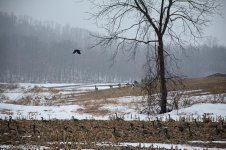 DSC_8380-1.jpg