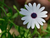 FSC_6922.jpg