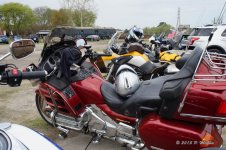 DSC04061.jpg