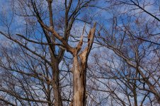untitled shoot-4032.jpg