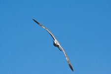 DSC_6631.jpg