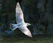 DSC_6644.jpg