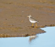 DSC_6595.jpg