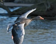 DSC_6648.jpg