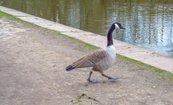 DSC_5107.jpg