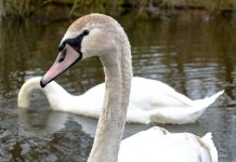 DSC_5115.jpg
