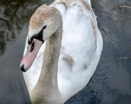 DSC_5113.jpg