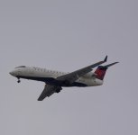 DSC_4078.jpg