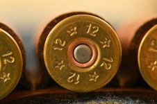 12GA-1.jpg