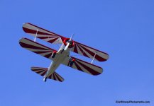 _DSC7665.jpg