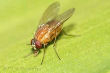 15B_0413_webshot.jpg