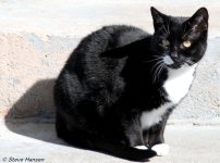 DSC_8419.jpg