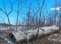 DSCN1151.jpg