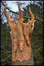 wood.jpg