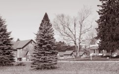 landscape-3366.jpg