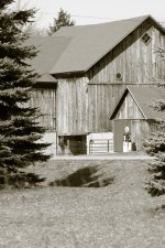 landscape-3369.jpg