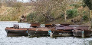 DSC_6698.jpg