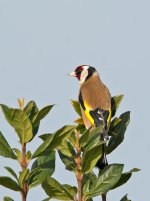 DSC_6676.jpg