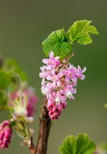 DSC_6686.jpg