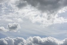 _DSC0232.jpg