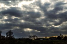 DSC_5118.jpg