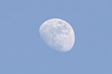 _DSC0288.jpg