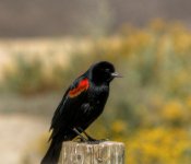 DSC_0356_tonemapped (2).jpg