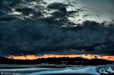 DSC_8481.jpg