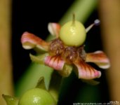 FSC_7439.jpg