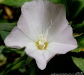 FSC_7451.jpg
