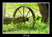 DSC_6847.jpg