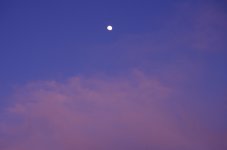 31st Mar 2015 012.JPG