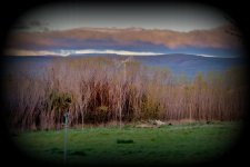 DSC_4690.jpg