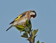 DSC_6873.jpg