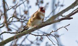 DSC_6967.jpg
