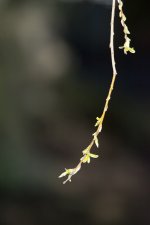 DSC_6940.jpg