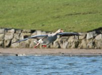 DSC_6925.jpg