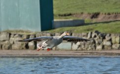 DSC_6926.jpg