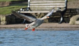 DSC_6927.jpg