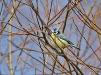 DSC_6951.jpg