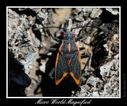 DSC_5141_Web.jpg