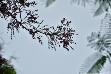 FSC_7809.jpg