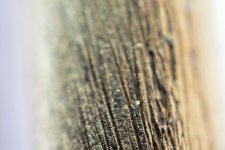 striations.jpg