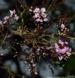 FSC_7820.jpg