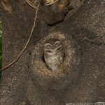 FSC_7780.jpg