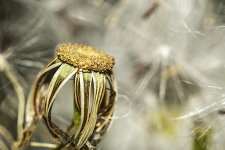 15B_0580_webshot.jpg