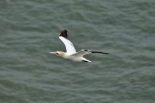 DSC_4570.jpg