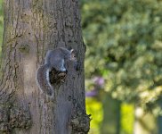 DSC_0384.jpg